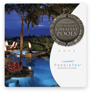Pebble Tec Award